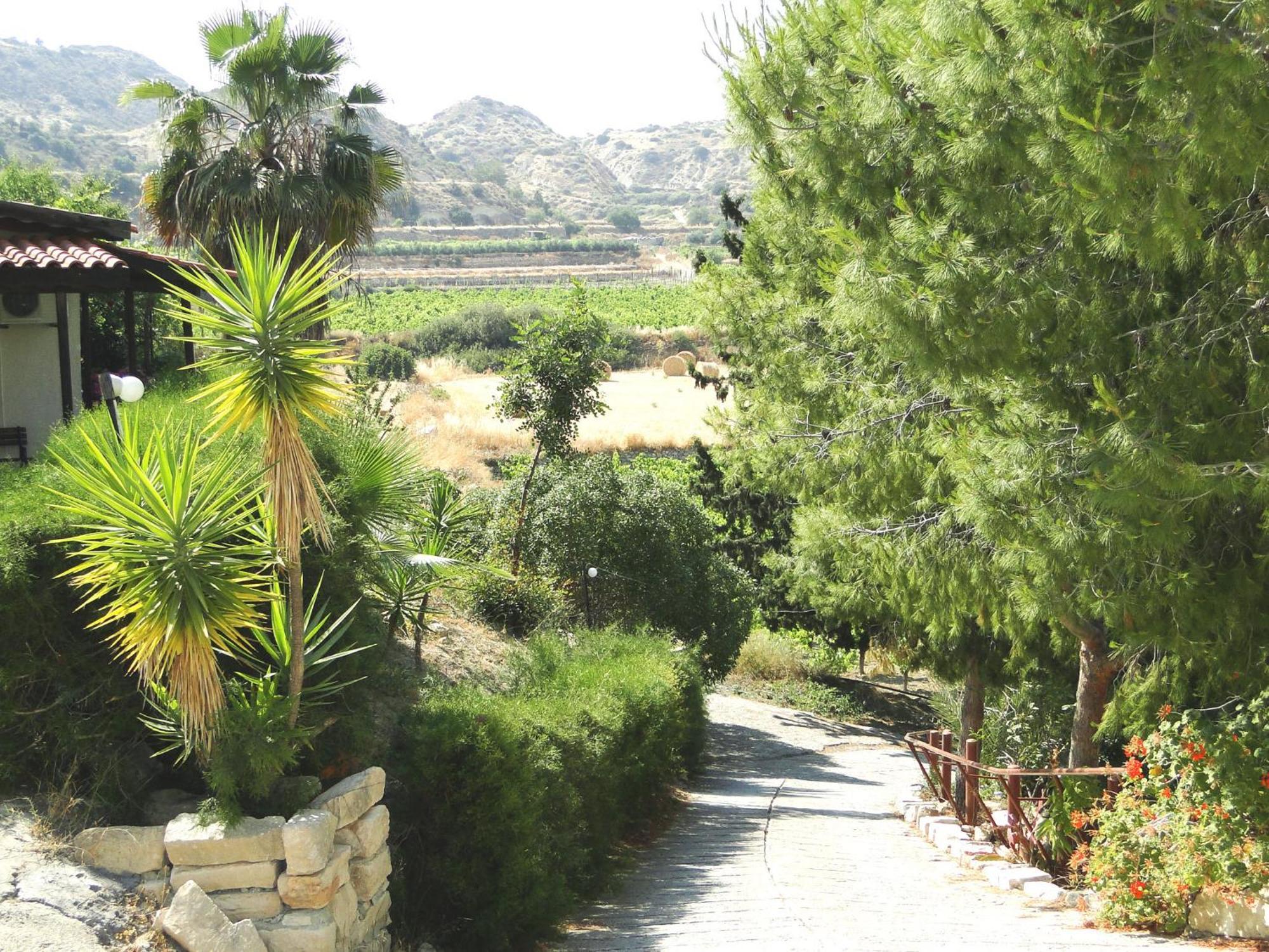 Ampelokipi Holiday Apartments Pissouri Exterior photo